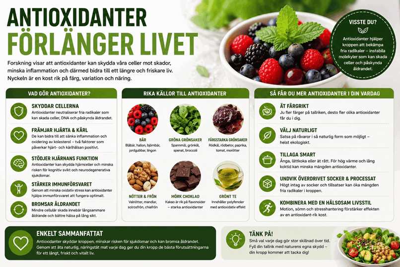 Skål med bär och förslag på olika livsmedel med massa antioxidanter.