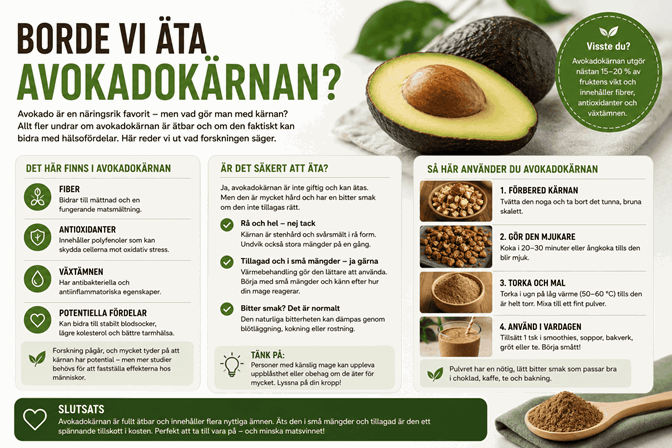Resonemang & förklaring till om vi borde äta avokadokärnan